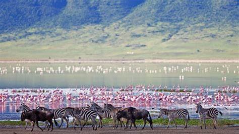 ngorongoro_crater