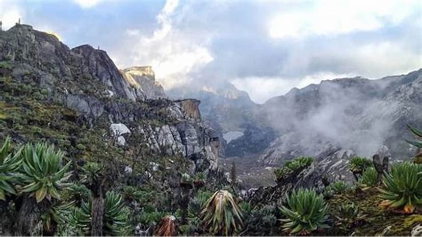 rwenzori_mountains