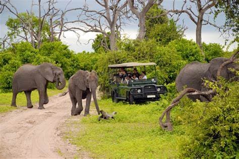 kruger_national_park