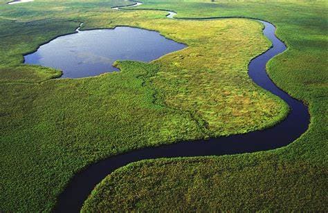 Image of okavango_delta