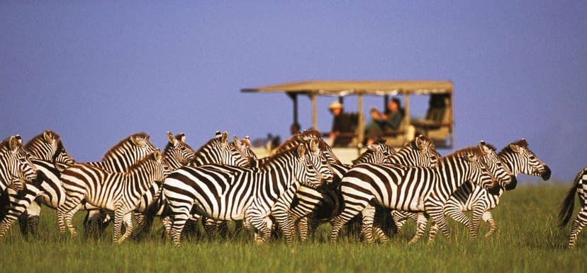 chobe_national_park