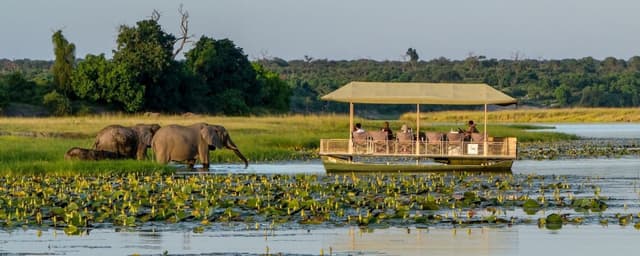 Image of chobe_national_park