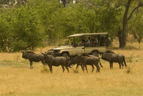 Image of hwange_national_park