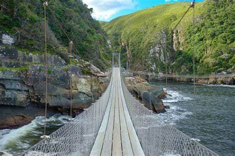 Image of garden_route