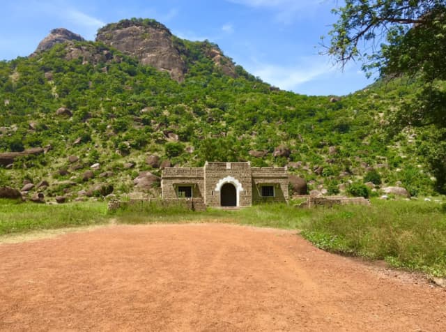 Image of yankari_national_park