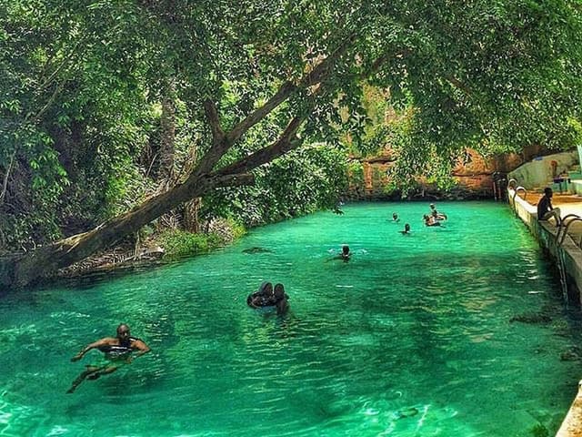 Image of yankari_national_park