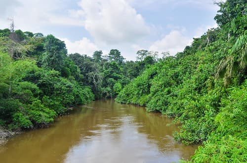 dja_faunal_reserve