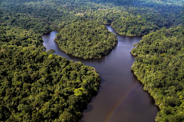 Image of dja_faunal_reserve
