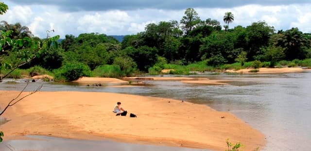 Image of tiwai_island_wildlife_sanctuary