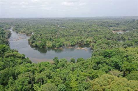 Image of tiwai_island_wildlife_sanctuary