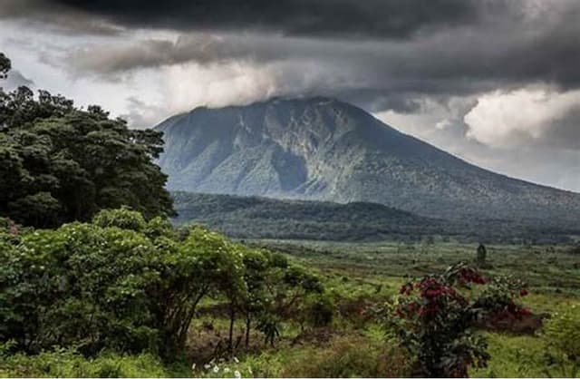 Image of virunga_national_park
