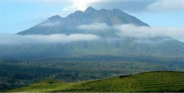 Image of virunga_national_park