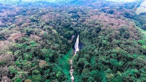 Image of kahuzi_biega_national_park
