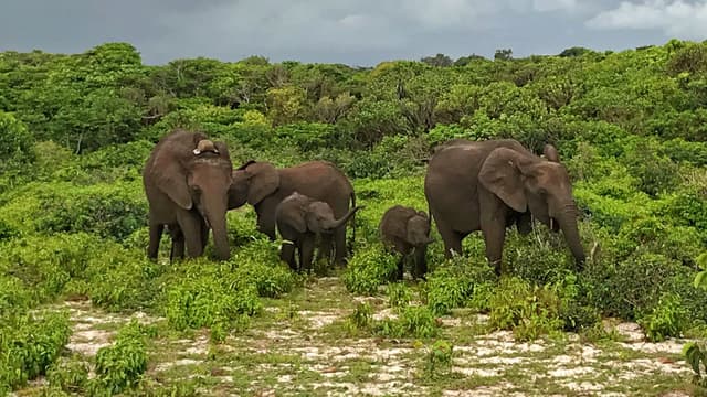 Image of loango_national_park