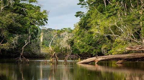 Image of loango_national_park
