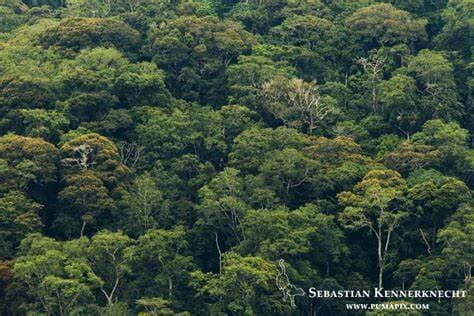 Image of lope_national_park
