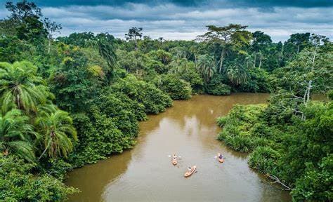 Image of odzala_kokoua_national_park