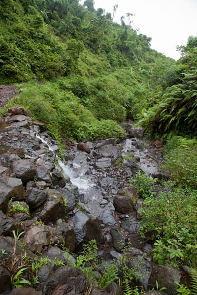 mount_ntringui