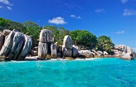 Image of moheli_marine_park