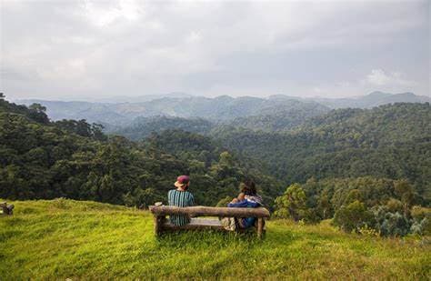 gishwati_mukura_national_park