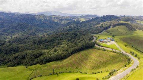 Image of gishwati_mukura_national_park
