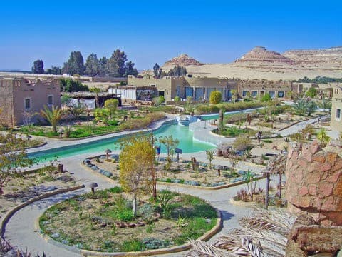 siwa_oasis
