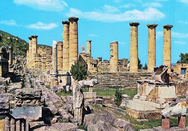 Image of cyrene