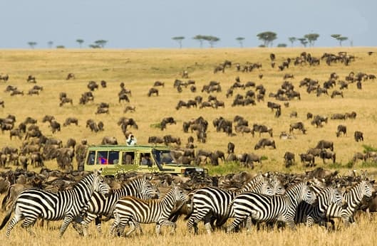 Image of serengeti_ational_park