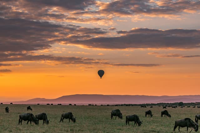Image of maasai mara national reserve