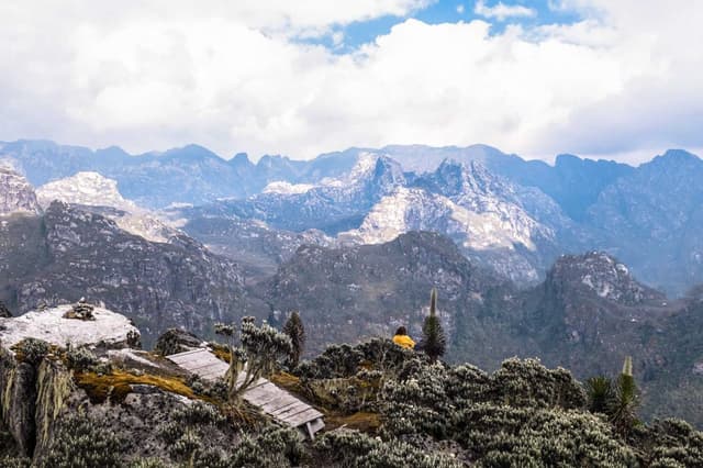 Image of rwenzori_mountains