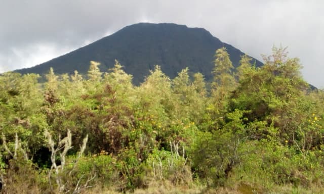 Image of virunga_mountains
