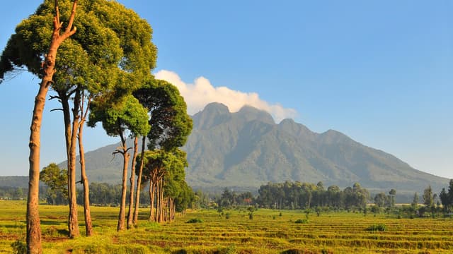 Image of virunga_mountains