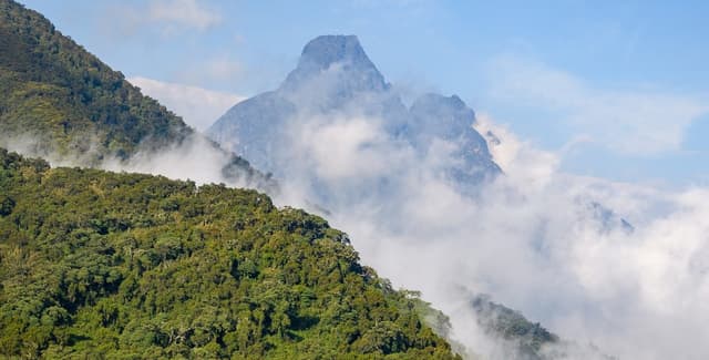 Image of volcanoes_national_park