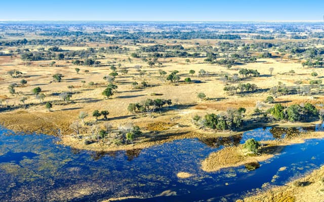 Image of okavango_delta