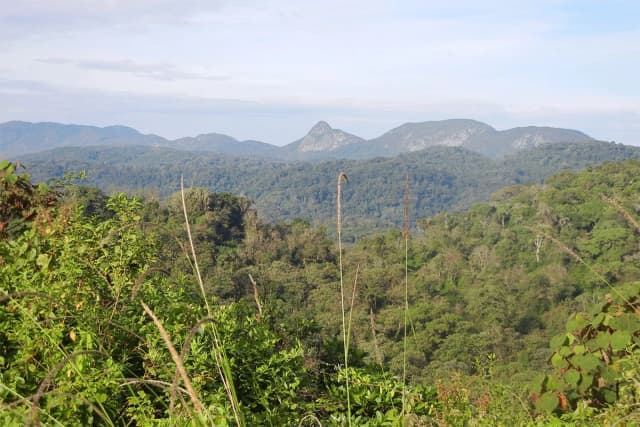 Image of kahuzi_biega_national_park