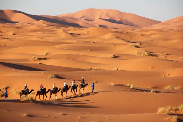 Image of sahara_desert